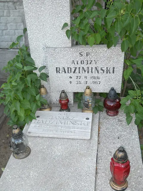 Zdjęcie grobu 20/12229