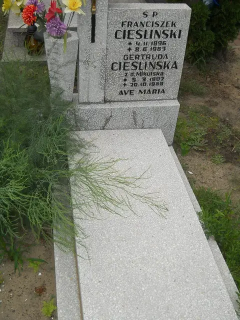 Zdjęcie grobu A/24752