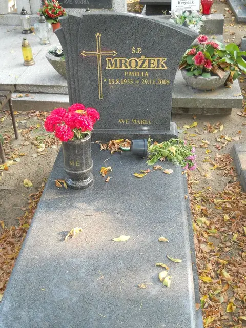 Zdjęcie grobu 15/26767