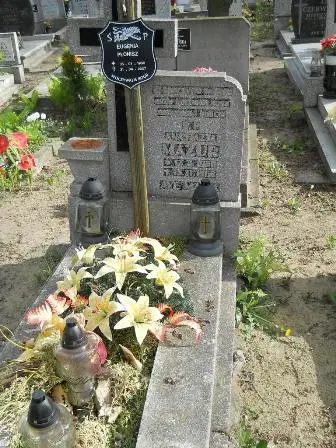 Zdjęcie grobu 9/179