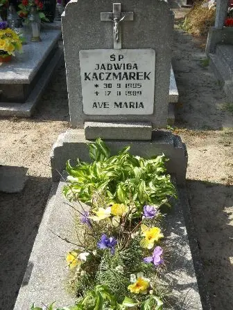 Zdjęcie grobu 24/100