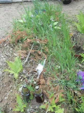 Zdjęcie grobu 40/23