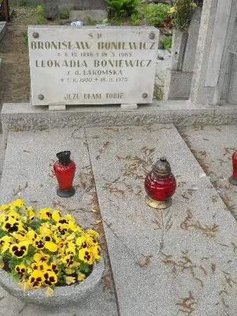 Zdjęcie grobu 33/100