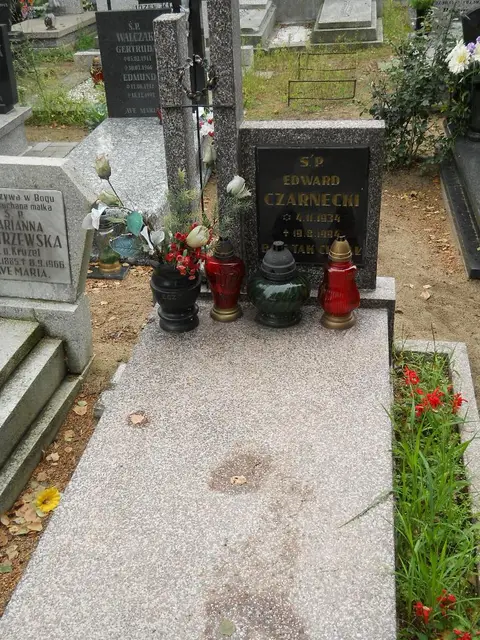 Zdjęcie grobu 16/26169