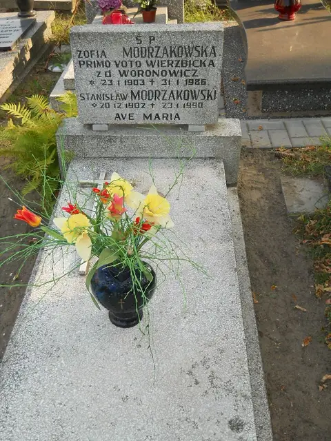 Zdjęcie grobu 23/28803