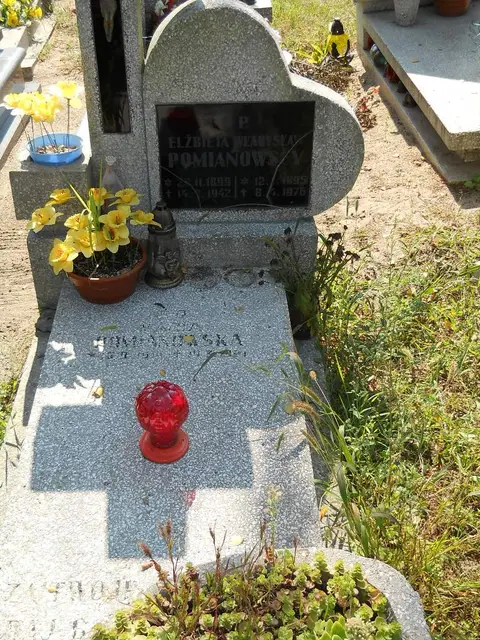 Zdjęcie grobu 14/27381