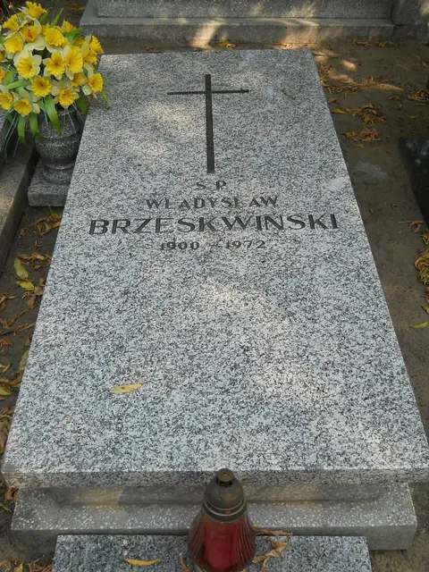 Zdjęcie grobu 19/28530