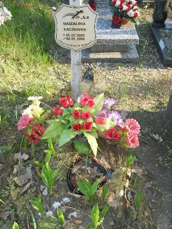 Zdjęcie grobu 7b/100