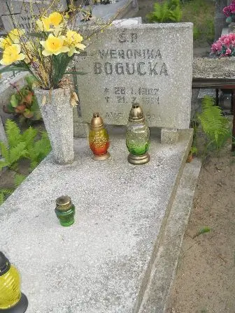Zdjęcie grobu 37/152