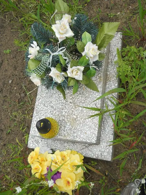 Zdjęcie grobu 21/23855