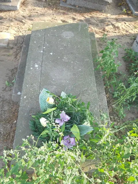 Zdjęcie grobu 23/28831