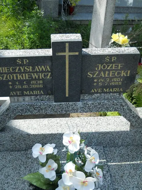 Zdjęcie grobu 27/22985