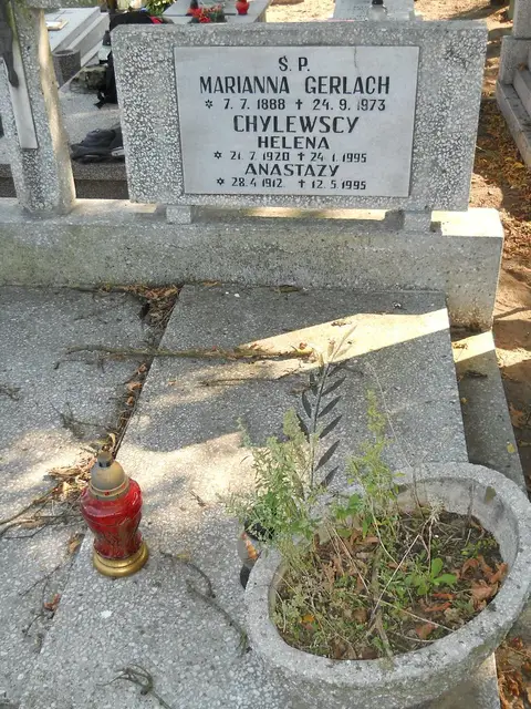 Zdjęcie grobu 14/27674