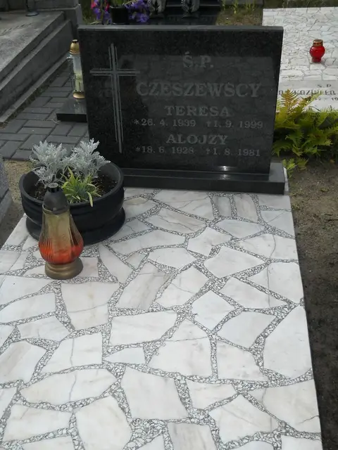 Zdjęcie grobu 11/29176