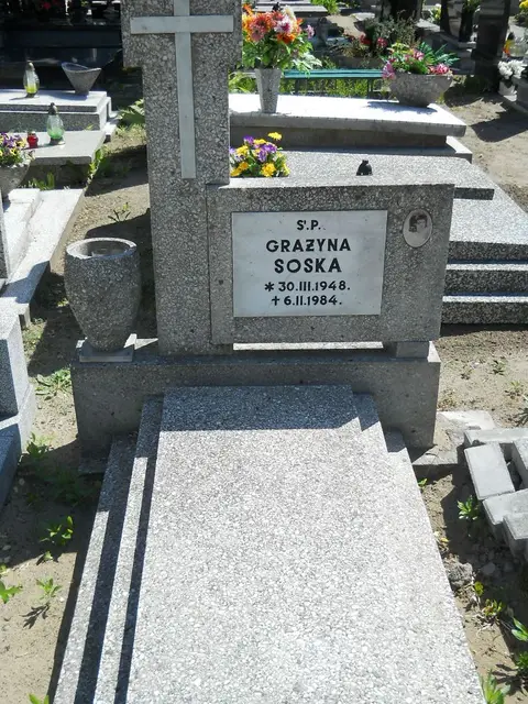 Zdjęcie grobu 8A/10013
