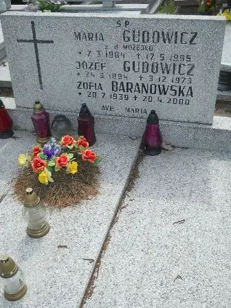 Zdjęcie grobu 40/117,118