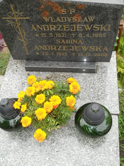 Zdjęcie grobu 24/23272