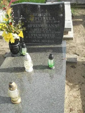 Zdjęcie grobu 9/100