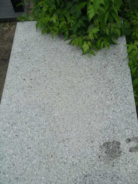 Zdjęcie grobu 22/23503