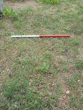 Zdjęcie grobu 36/100