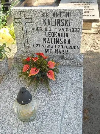 Zdjęcie grobu 45/210