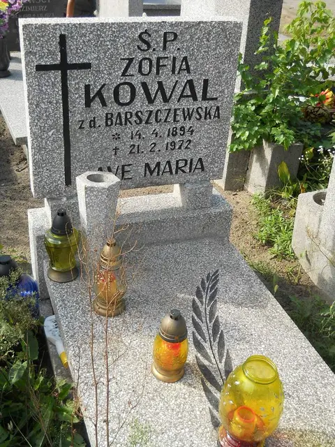 Zdjęcie grobu 11/29241