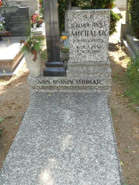 Zdjęcie grobu 18/28384
