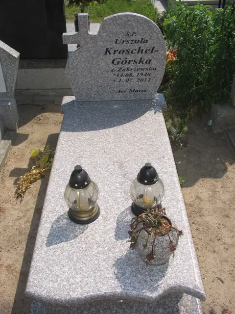Zdjęcie grobu 24/23413