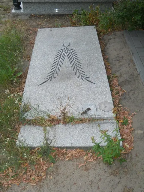 Zdjęcie grobu 13/29073