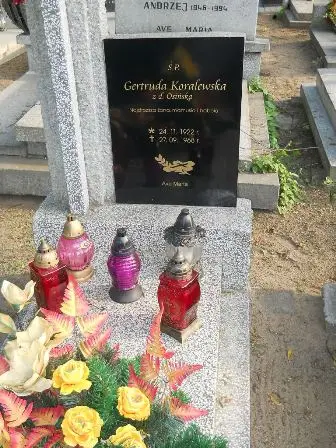 Zdjęcie grobu 37/77