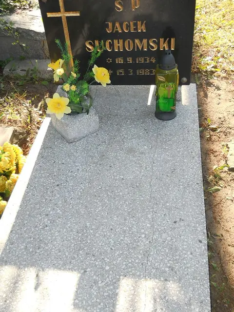 Zdjęcie grobu 7/12065