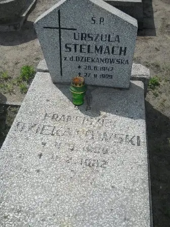 Zdjęcie grobu 20/484