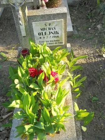 Zdjęcie grobu 7b/100