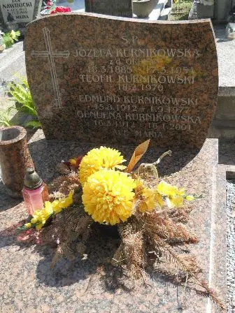 Zdjęcie grobu 25/310,311
