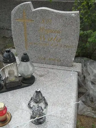 Zdjęcie grobu 100/184ż