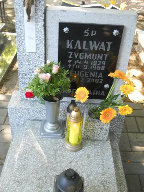 Zdjęcie grobu 8/10415