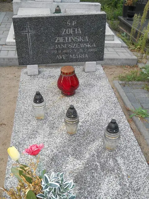 Zdjęcie grobu 14/27949