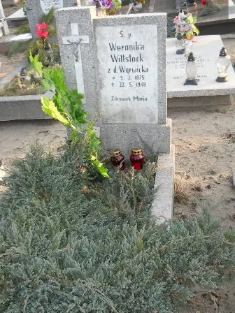 Zdjęcie grobu 4/100