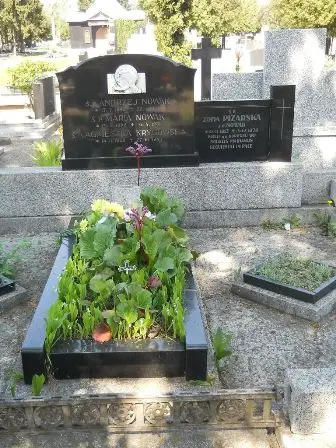 Zdjęcie grobu C/100,101
