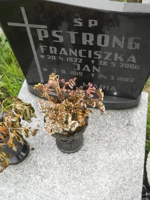 Zdjęcie grobu 22/23531