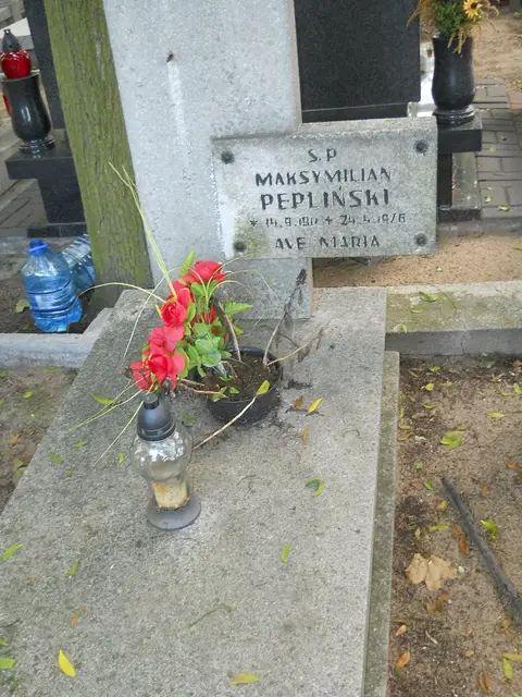Zdjęcie grobu 13/29574