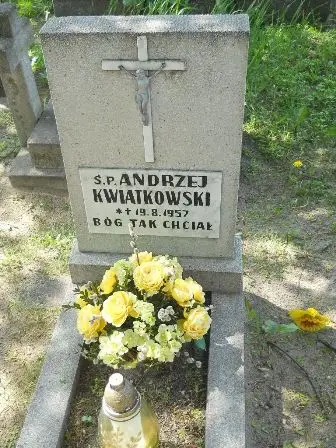 Zdjęcie grobu 12/229