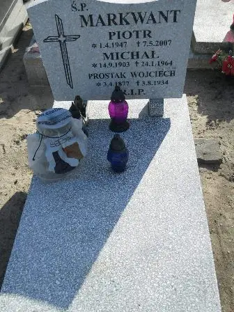 Zdjęcie grobu 1/207/208