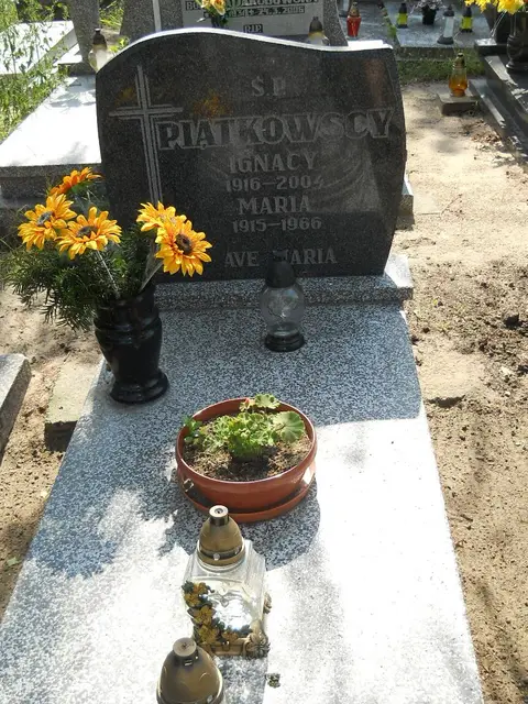 Zdjęcie grobu 18/28331