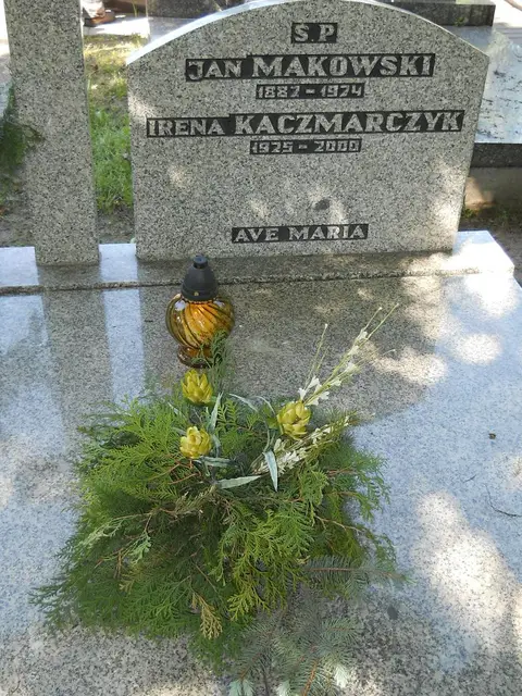 Zdjęcie grobu 8A/9994/00 i 5363/74