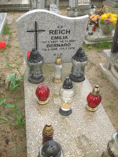 Zdjęcie grobu 7/109651