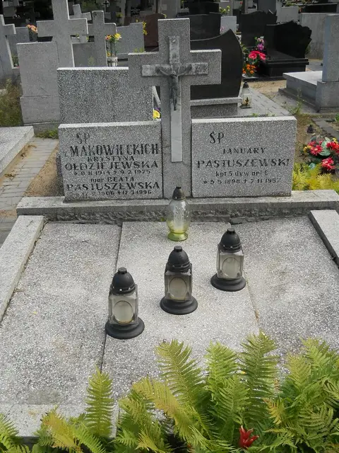 Zdjęcie grobu 6/24152