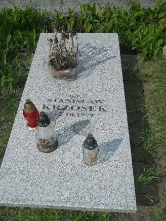 Zdjęcie grobu 42/248