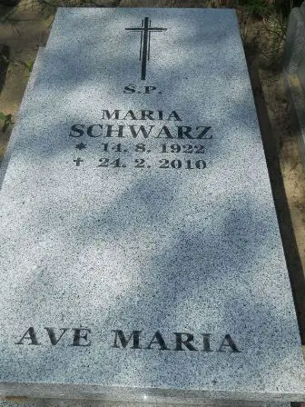 Zdjęcie grobu 24/100