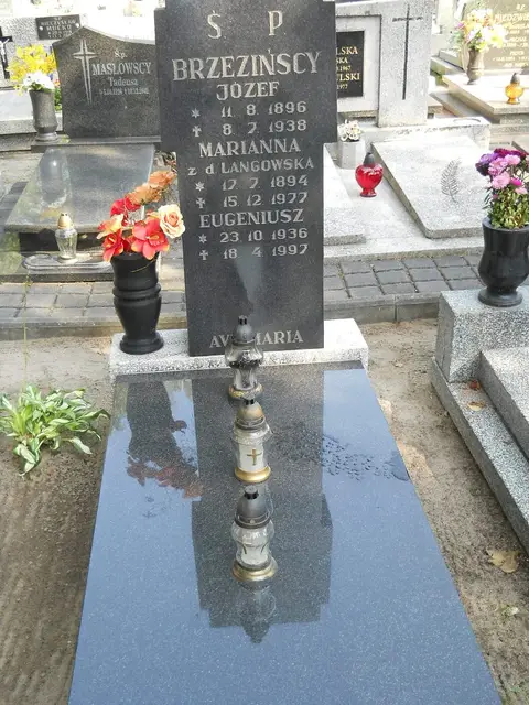 Zdjęcie grobu A/25008
